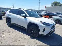JTM16RFV8RJ054664 2024 TOYOTA RAV 4