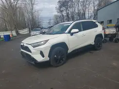 JTM16RFV9ND077928 2022 TOYOTA RAV 4