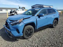 JTM16RFV9RD145845 2024 TOYOTA RAV 4