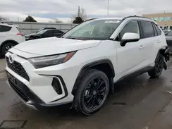 JTM16RFV9RJ043348 2024 TOYOTA RAV 4