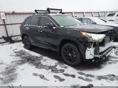 JTM16RFV9RJ051742 2024 TOYOTA RAV 4