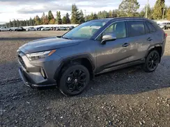 JTM16RFVXPD096961 2023 TOYOTA RAV 4