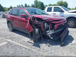 JTMA1RFV0KD506691 2019 TOYOTA RAV 4