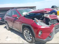 JTMA1RFV1KD020195 2019 TOYOTA RAV 4