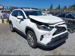 JTMA1RFV1KD031259 2019 TOYOTA RAV 4