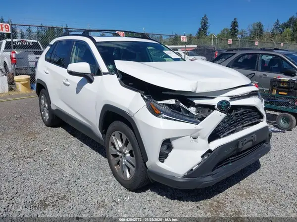 JTMA1RFV1KD031259 2019 TOYOTA RAV 4 - Image 1