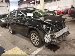 JTMA1RFV1LJ036044 2020 TOYOTA RAV 4