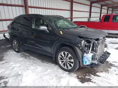 JTMA1RFV2KD044747 2019 TOYOTA RAV 4