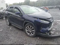 JTMA1RFV3KD006797 2019 TOYOTA RAV 4