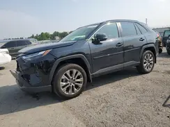 JTMA1RFV3PD092555 2023 TOYOTA RAV 4