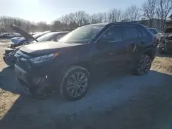 JTMA1RFV4PD102526 2023 TOYOTA RAV 4