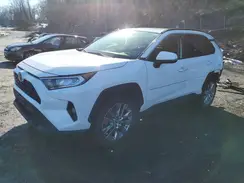 JTMA1RFV5KD008597 2019 TOYOTA RAV 4