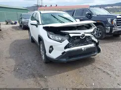 JTMA1RFV5LD055467 2020 TOYOTA RAV 4