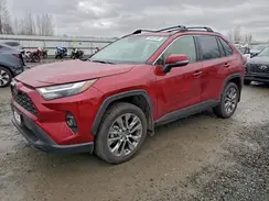 JTMA1RFV6SD116923 2025 TOYOTA RAV 4