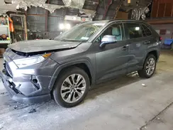 JTMA1RFV7KD015809 2019 TOYOTA RAV 4