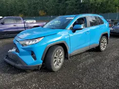 JTMA1RFV7KD020508 2019 TOYOTA RAV 4