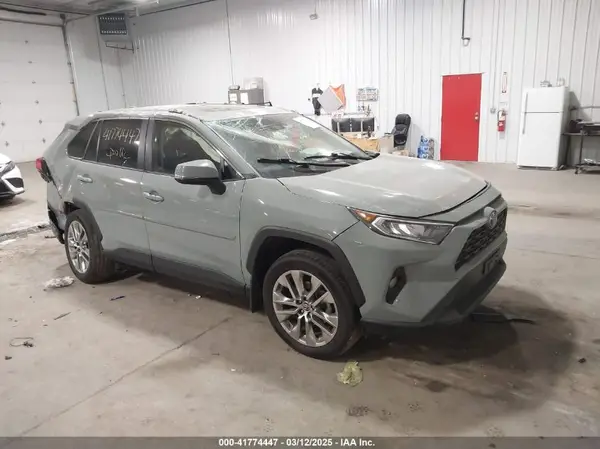 JTMA1RFV7KD513993 2019 TOYOTA RAV 4 - Image 1