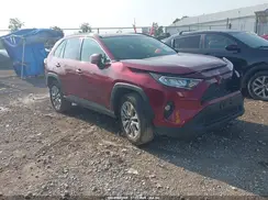 JTMA1RFV8KD008982 2019 TOYOTA RAV 4