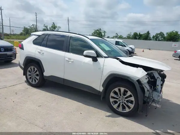 JTMA1RFV8KD507846 2019 TOYOTA RAV 4 - Image 1
