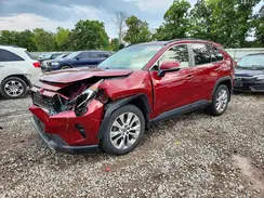 JTMA1RFVXKD036668 2019 TOYOTA RAV 4