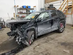 JTMA1RFVXKD500204 2019 TOYOTA RAV 4