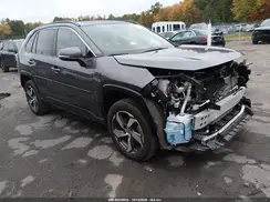 JTMAB3FV0PD131225 2023 TOYOTA RAV 4