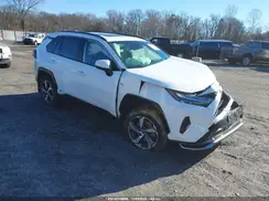 JTMAB3FV0PD138496 2023 TOYOTA RAV 4