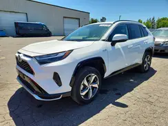 JTMAB3FV0PD154293 2023 TOYOTA RAV 4
