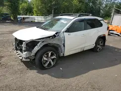 JTMAB3FV0RD205553 2024 TOYOTA RAV 4