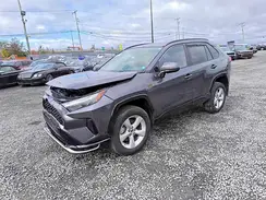 JTMAB3FV0RD208386 2024 TOYOTA RAV 4