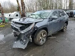 JTMAB3FV1PD125174 2023 TOYOTA RAV 4