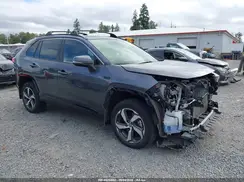 JTMAB3FV2PD114961 2023 TOYOTA RAV 4
