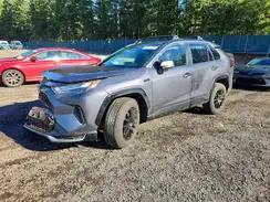 JTMAB3FV2RD173527 2024 TOYOTA RAV 4