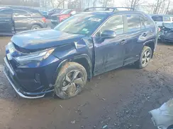JTMAB3FV5PD138963 2023 TOYOTA RAV 4