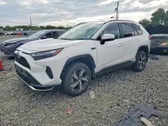 JTMAB3FV5RD209078 2024 TOYOTA RAV 4