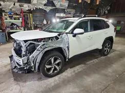 JTMAB3FV6PD118690 2023 TOYOTA RAV 4