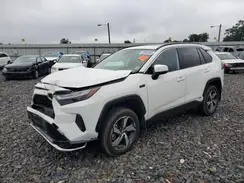 JTMAB3FV8RD173709 2024 TOYOTA RAV 4
