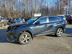 JTMAB3FV9PD145883 2023 TOYOTA RAV 4
