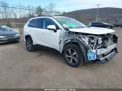 JTMAB3FV9PD150565 2023 TOYOTA RAV 4