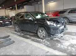 JTMAB3FV9RD201484 2024 TOYOTA RAV 4