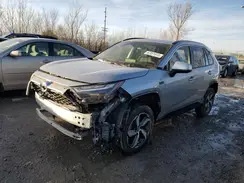 JTMAB3FVXPD154981 2023 TOYOTA RAV 4