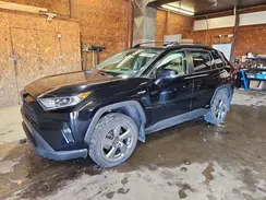 JTMB6RFV0MD009505 2021 TOYOTA RAV 4