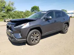 JTMB6RFV0PD084497 2023 TOYOTA RAV 4