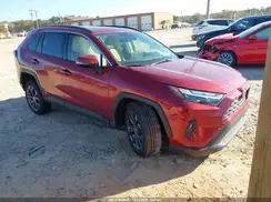 JTMB6RFV0PD099856 2023 TOYOTA RAV 4