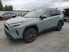 JTMB6RFV0PD106353 2023 TOYOTA RAV 4