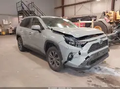 JTMB6RFV0PD110581 2023 TOYOTA RAV 4