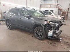 JTMB6RFV0RD119963 2024 TOYOTA RAV 4
