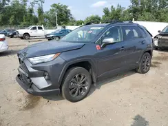 JTMB6RFV0RD119980 2024 TOYOTA RAV 4