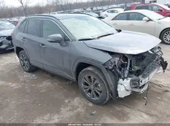 JTMB6RFV0RD120188 2024 TOYOTA RAV 4
