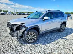 JTMB6RFV0RD122698 2024 TOYOTA RAV 4